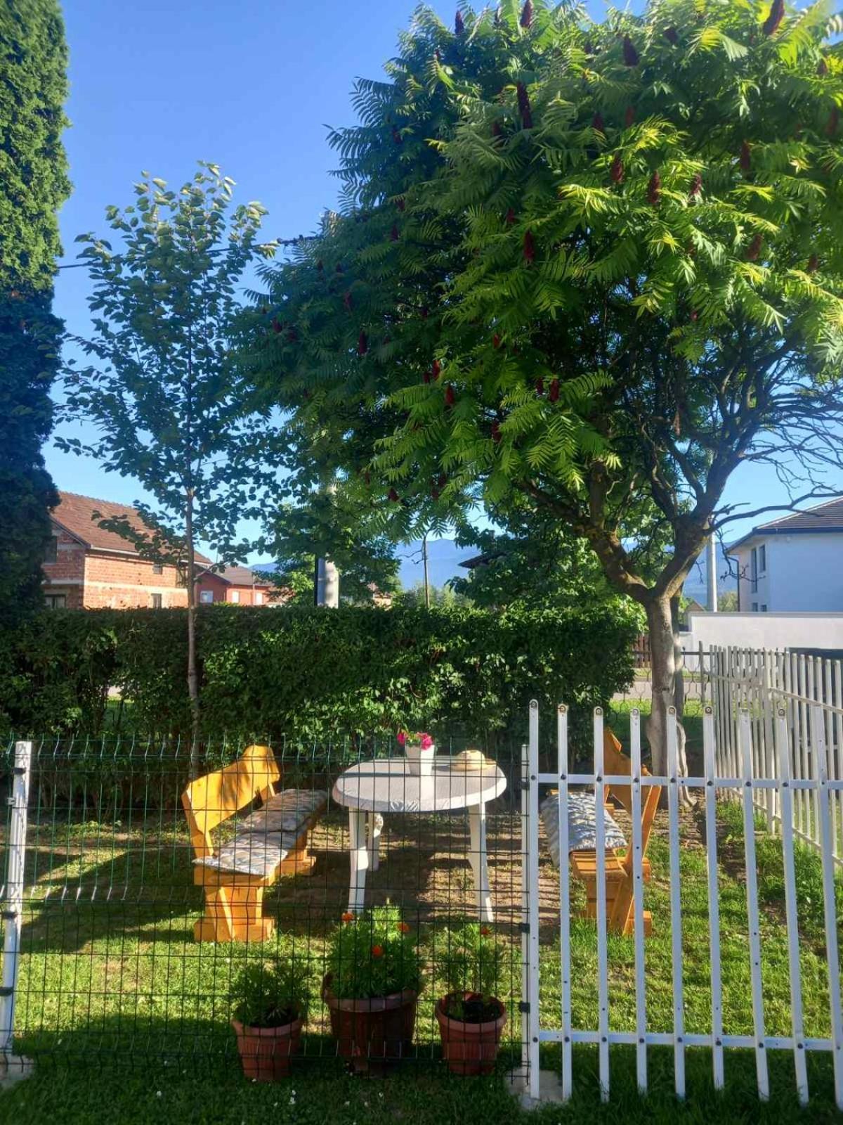 Apartment Nejra *